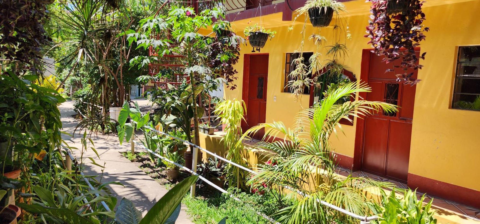 Hospedaje Santo Domingo Panajachel Exteriér fotografie